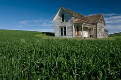 pagination test from laptop