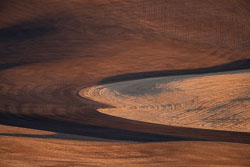 essays