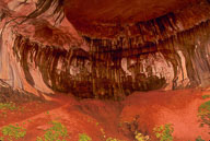 galleria default page test
