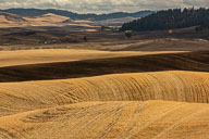 palouse fall galleria