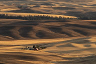 palouse fall galleria