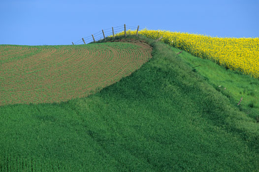 Barbee_10687_.jpg