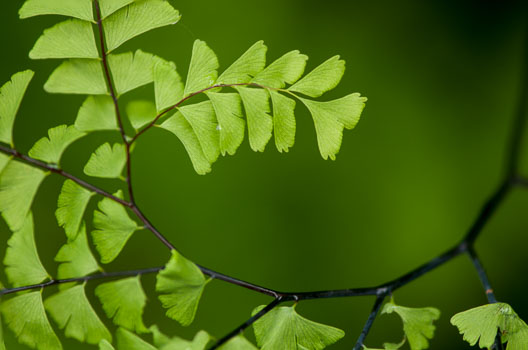 Barbee_130516_3_1531-Edit.jpg