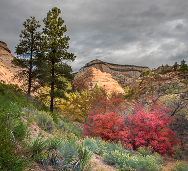 Barbee_161029_9628.jpg